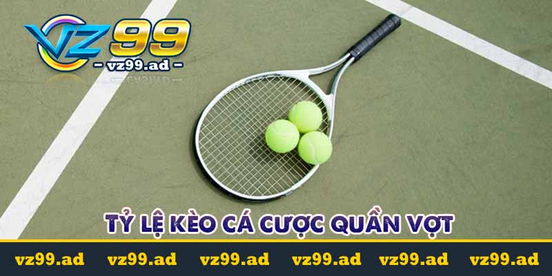 Cá cược quần vợt là gì? Các loại kèo cá cược phổ biến nhất 9 Tỷ lệ kèo cá cược quần vợt