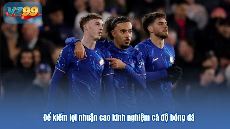 Để kiếm lợi nhuận cao kinh nghiệm cá độ bóng đá