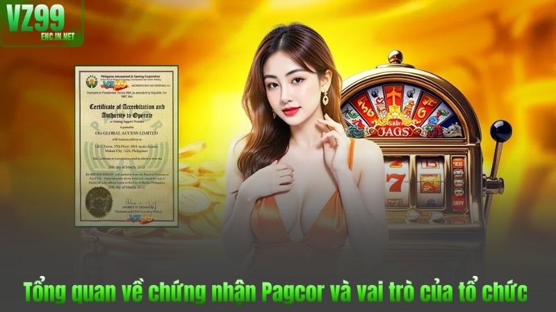 Tổng quan về chứng nhận Pagcor và vai trò của tổ chức